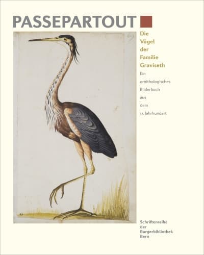 Die Vögel der Familie Graviseth